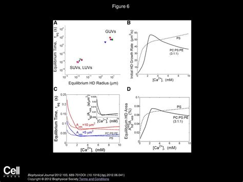 Jason M Warner Ben Oshaughnessy Biophysical Journal Ppt Download