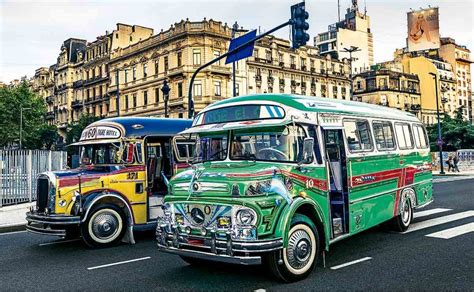 Colectivos Y Filetes Una Pasi N Bien Argentina Transporte Mundial