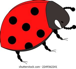 Cute Ladybug Clip Art Stock Vector (Royalty Free) 2249362241 | Shutterstock