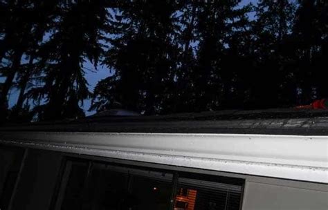 Newcastle, WA Gutter Cleaning & Protection - Leafless In Seattle