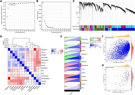 Frontiers Identification Of Immune Hub Genes Associated With Braak