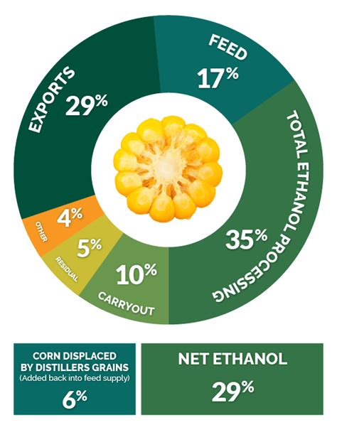 Corn Uses: Food, Feed and Ethanol | Nebraska Corn Board