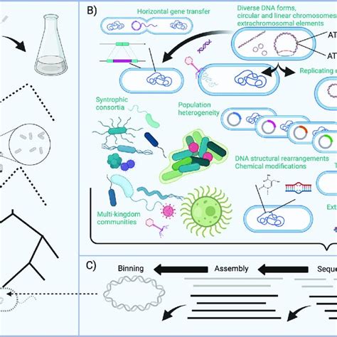 The Existing Paradigm Of Microbiome Science A Our Historical View Of