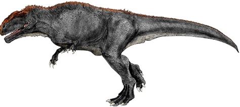 Mapusaurus Pictures & Facts - The Dinosaur Database