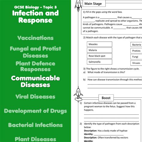 Communicable Diseases Home Learning Worksheet Gcse Uk