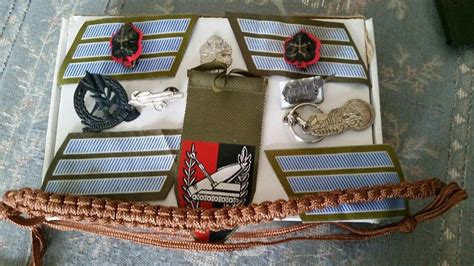 Israeli Army IDF Insignia Ranks Unique Pins Badge Lot | #1956500647