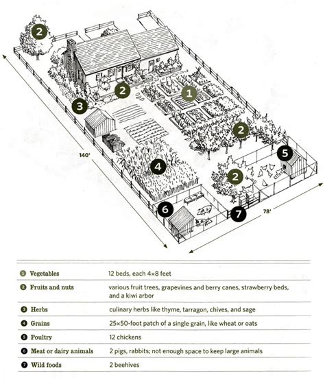 Ideas for a One Acre Homestead Layout