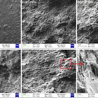 SEM Micrographs Of Impact Fracture Surface Of Neat PLA And Its Blends