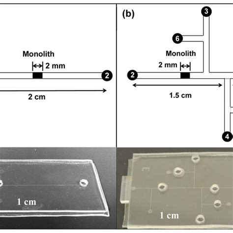 Schematic designs and photographs of microfluidic devices. (a) A single ...