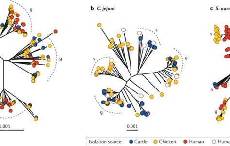 Microbial Genomics