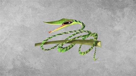 Green Vine Snake Drawing