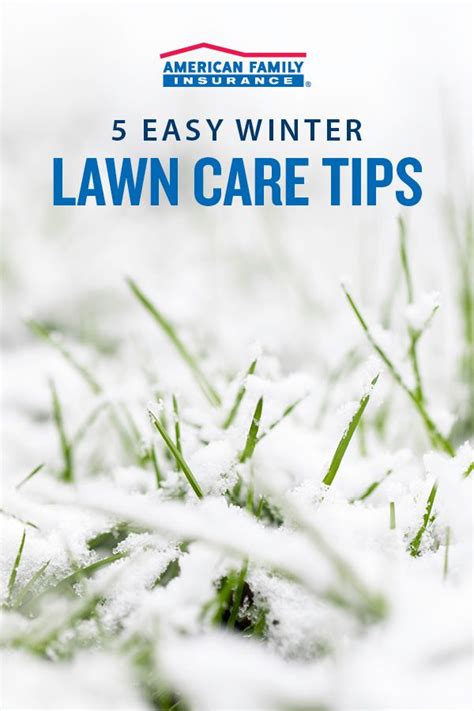 Winter Lawn Care Is A Must If You Want Your Yard To Be At Is Best This