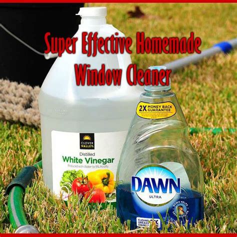 List 92 Pictures Best Homemade Window Cleaner For Cars Stunning