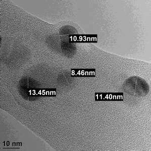 TEM Image Of Argovit S AgNPs The Shape Of Nanoparticles Is Quasi