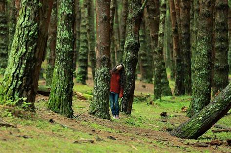 Sai Pallavi in Premam Stills-Images-Malar in Premam-Onlookers Media ...