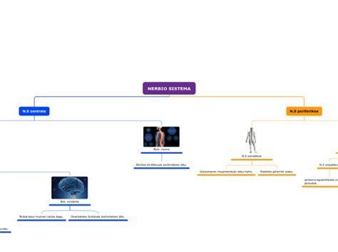 NERBIO SISTEMA Mind Map