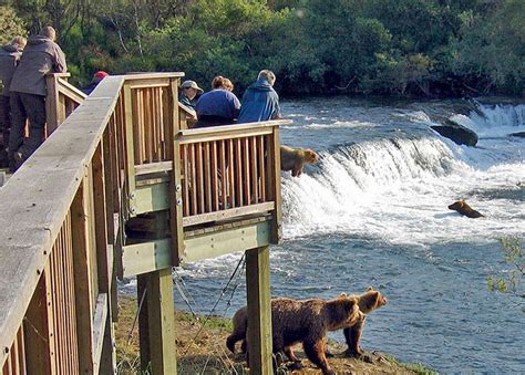 Anchorage Bear Viewing Tour | Katmai National Park | Brooks Falls