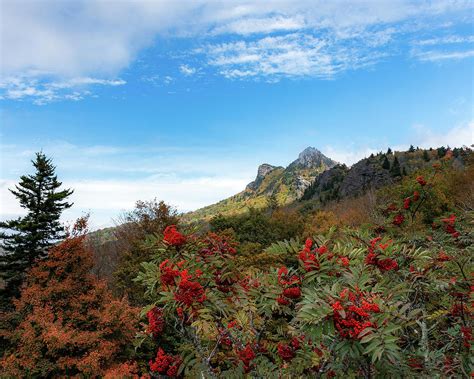 Fall At Grandfather Mountain Photograph by Steve Hurt - Fine Art America