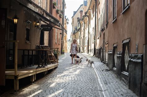 Stockholm Toegang Zonder Wachtrij Tot De Oude Binnenstad En Het