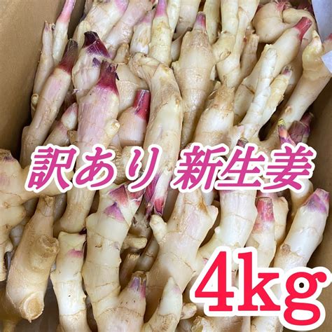 新生姜 4kg 訳あり｜paypayフリマ