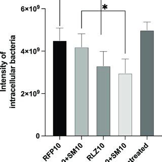 Comparative Rifamycin Efficacy Against Intracellular M Ulcerans With