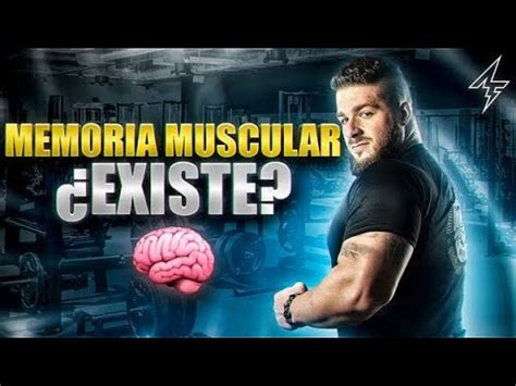 Todo Sobre La Memoria Muscular Seg N La Ciencia C Mo Funciona Y