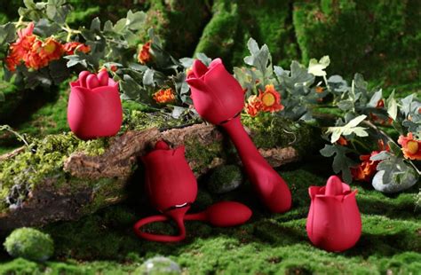 Your Ultimate Guide To The Viral Rose Sex Toy Mummu