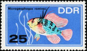 Stamp Ramirez S Dwarf Cichlid Mikrogeophagus Ramirezi Germany