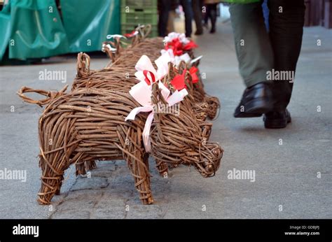 Vierbl Ttriges Kleeblatt Und Gl Ckliches Schwein Fotos Und