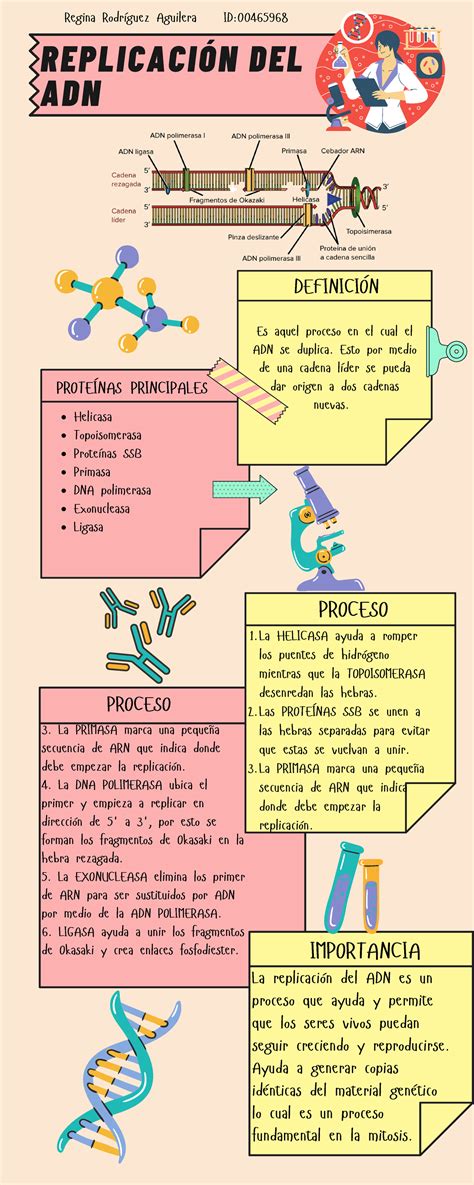 Infografía Replicación DEL ADN REPLICACIÓN DEL ADN DEFINICIÓN PROCESO