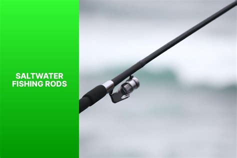 The Best Saltwater Fishing Rods For 2024 OutdoorGearExpert