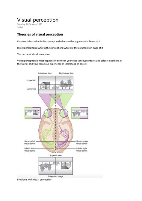 Visual Perception Visual Perception Tuesday 20 October 2020 14