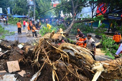 Pohon Tumbang Akibat Angin Kencang Antara Foto