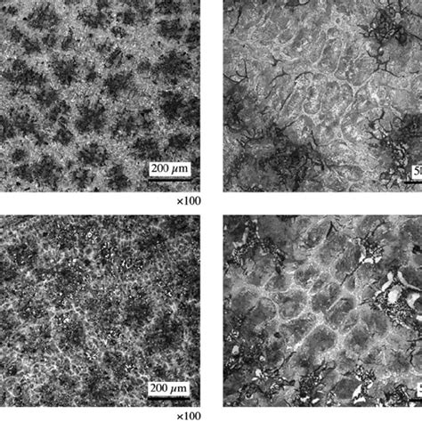 Gray Cast Iron Microstructure With Continuous Phosphide Eutectic Download Scientific Diagram