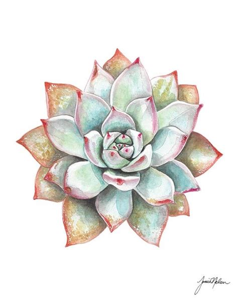 Prints Succulent Art Print Succulent Art Plant Art Print Plant Lover