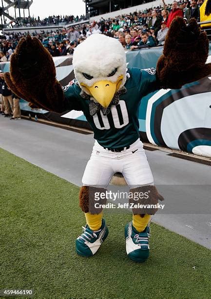 Philadelphia Eagles Mascot Photos and Premium High Res Pictures - Getty Images