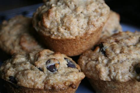 Mama Gone Green Oatmeal Chocolate Chip Muffins