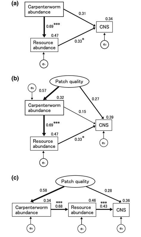 A C Path Diagrams Showing The Causal Relationships Among Carpenterworm Download Scientific