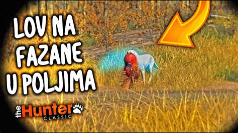 Lov Na Fazane U Poljima Kukuruza Thehunter Classic Youtube