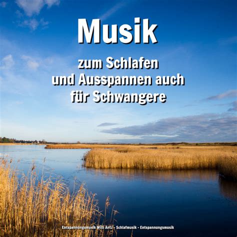 Hintergrundmusik Song And Lyrics By Entspannungsmusik Willi Antz