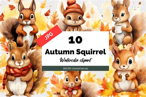 Watercolor Autumn Squirrel Clipart JPG Graphic by KiwiCakeStudio ...