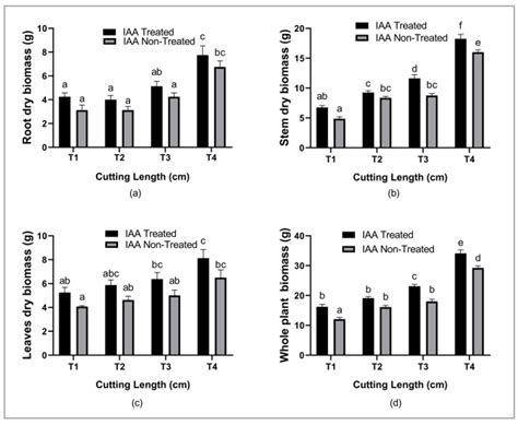 A Root Dry Biomass B Stem Dry Biomass C Leaves Dry Biomass And