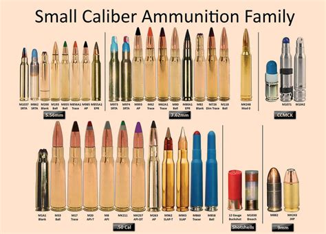 Rifle Ammunition Sizes Comparison Chart