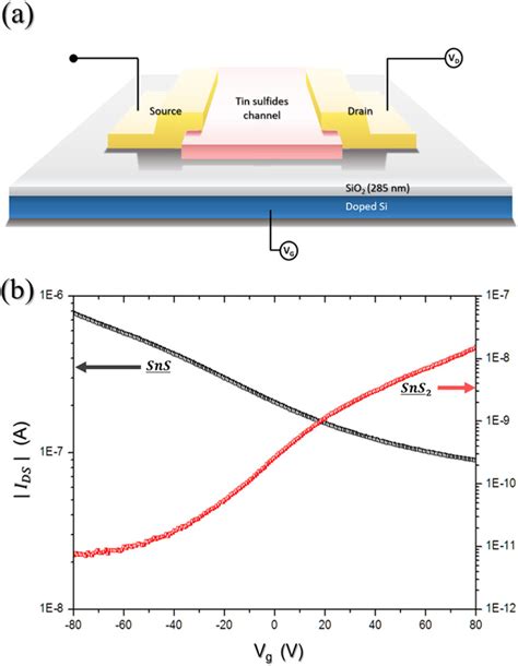 A Schematic Device Structure Of Sns And Sns2 Fets And B Their Download Scientific Diagram