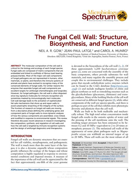 Pdf The Fungal Cell Wall Structure Biosynthesis And Function