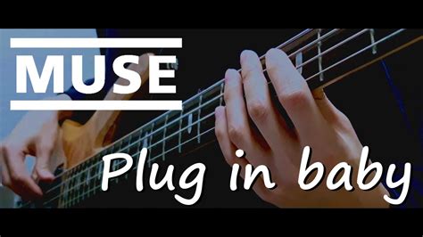 Muse Plug In Baby Bass Cover Youtube