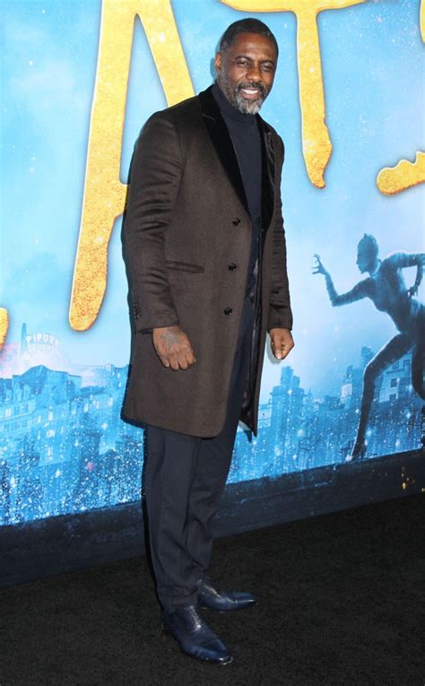 Idris Elba From Cats World Premiere Red Carpet Fashion E News