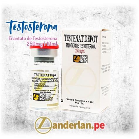 Testenat Depot 250mg Enantato Testosterona Landerlan Perú