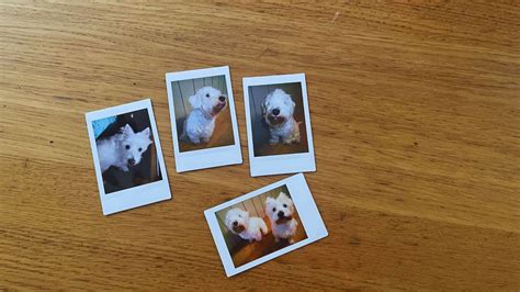 Fujifilm Instax Mini Evo review: instant photos, with added class ...