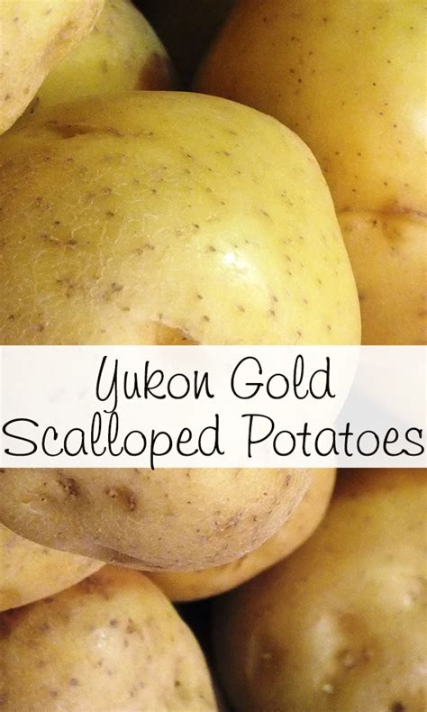 Scalloped Yukon Gold Potatoes At Harry Armstrong Blog